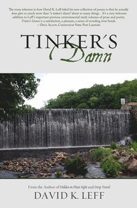 bokomslag Tinker's Damn