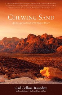 bokomslag Chewing Sand