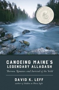 bokomslag Canoeing Maine's Legendary Allagash