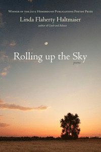 bokomslag Rolling up the Sky