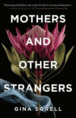 bokomslag Mothers and Other Strangers