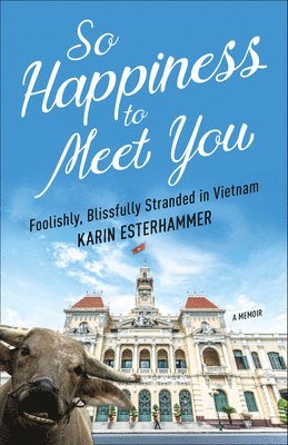 bokomslag So Happiness to Meet You