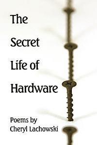 bokomslag The Secret Life of Hardware