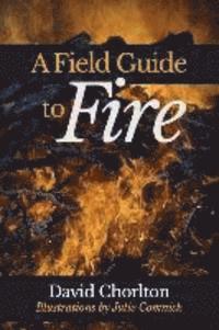 Diane Kistner - A Field Guide to Fire, Häftad