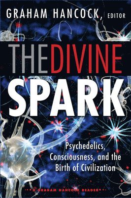 The Divine Spark: A Graham Hancock Reader 1