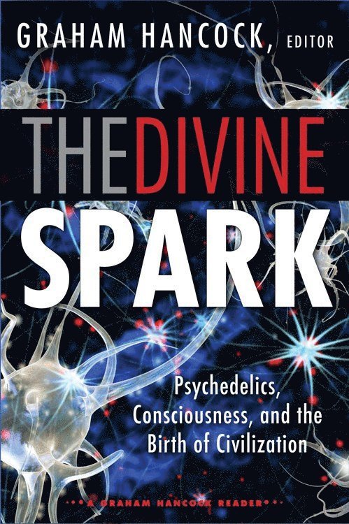 Graham Hancock - Divine Spark: A Graham Hancock Reader, Häftad