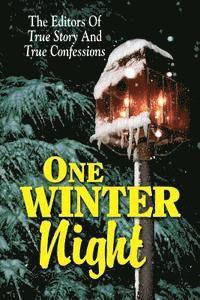 One Winter Night 1