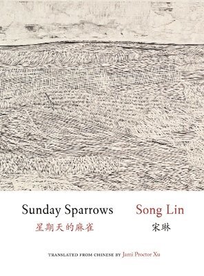 bokomslag Sunday Sparrows