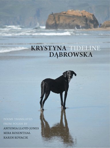 Krystyna Dąbrowska - Tideline, Häftad