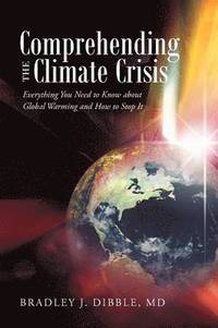 bokomslag Comprehending the Climate Crisis