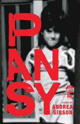 Pansy 1