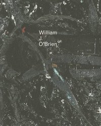 bokomslag William J. O'Brien