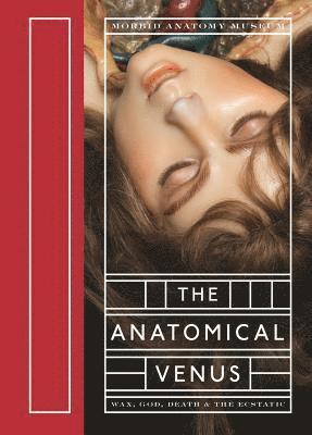 The Anatomical Venus: Wax, God, Death & the Ecstatic 1