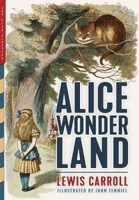 bokomslag Alice in Wonderland (Illustrated)
