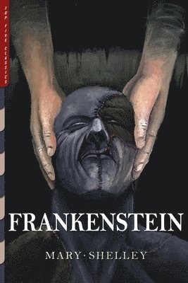 bokomslag Frankenstein