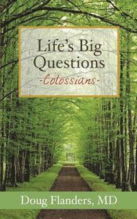 bokomslag Life's Big Questions: Colossians