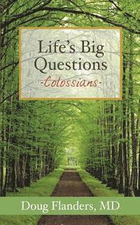 bokomslag Life's Big Questions: Colossians