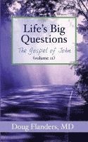 bokomslag Life's Big Questions: The Gospel of John