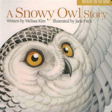 bokomslag A Snowy Owl Story