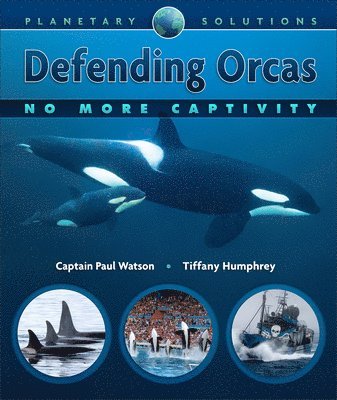 Defending Orcas 1