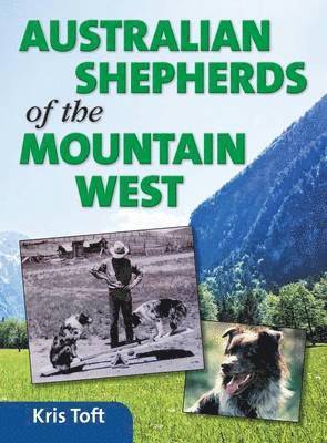 bokomslag Australian Shepherds of the Mountain West