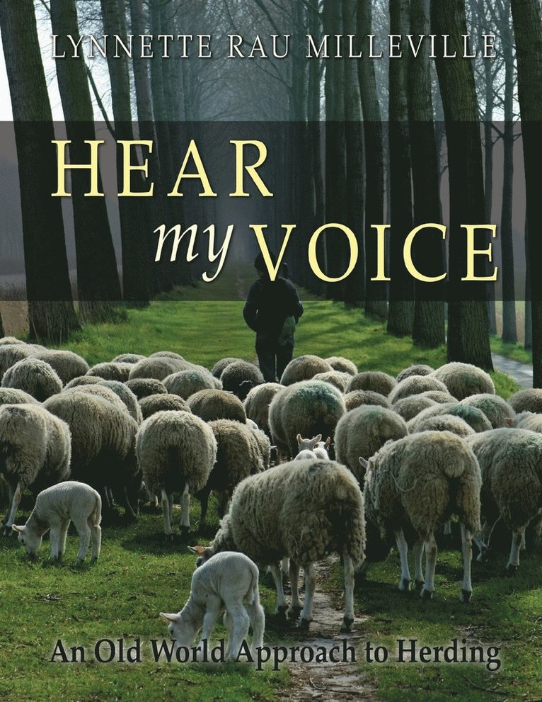 Lynnette Rau Milleville - Hear my Voice, Häftad