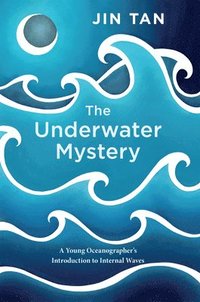 bokomslag The Underwater Mystery