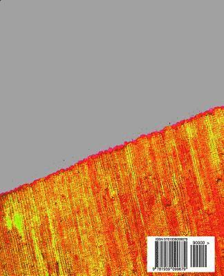 Nazanin Mirsadeghi - Modern Persian Poetry (Persian/Farsi Edition): An Anthology of Easy-To-Read Poems for Non-Native Learners of the Persian Language, Häftad