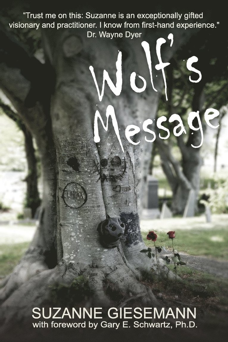 Wolf's Message 1