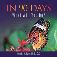 bokomslag In 90 Days
