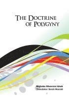 bokomslag The Doctrine of Polygyny