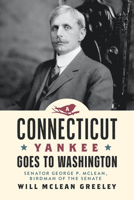 bokomslag Connecticut Yankee Goes to Washington