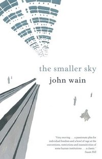 bokomslag The Smaller Sky