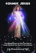 bokomslag Cosmic Jesus