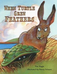 bokomslag When Turtle Grew Feathers: A Folktale from the Choctaw Nation