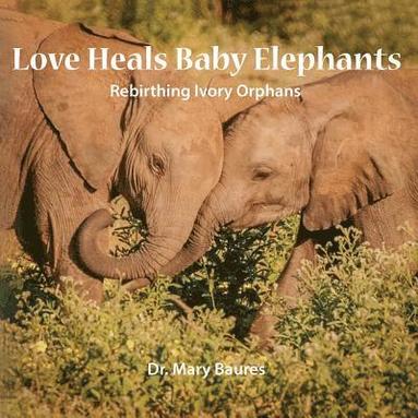 bokomslag Love Heals Baby Elephants; Rebirthing Ivory Orphans