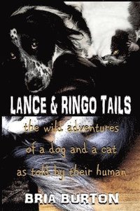 bokomslag Lance & Ringo Tails
