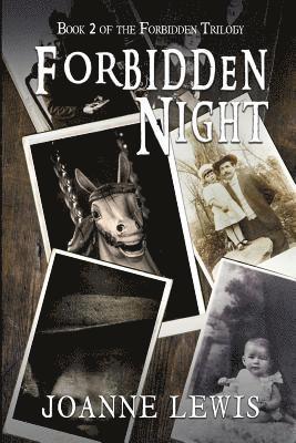 bokomslag Forbidden Night