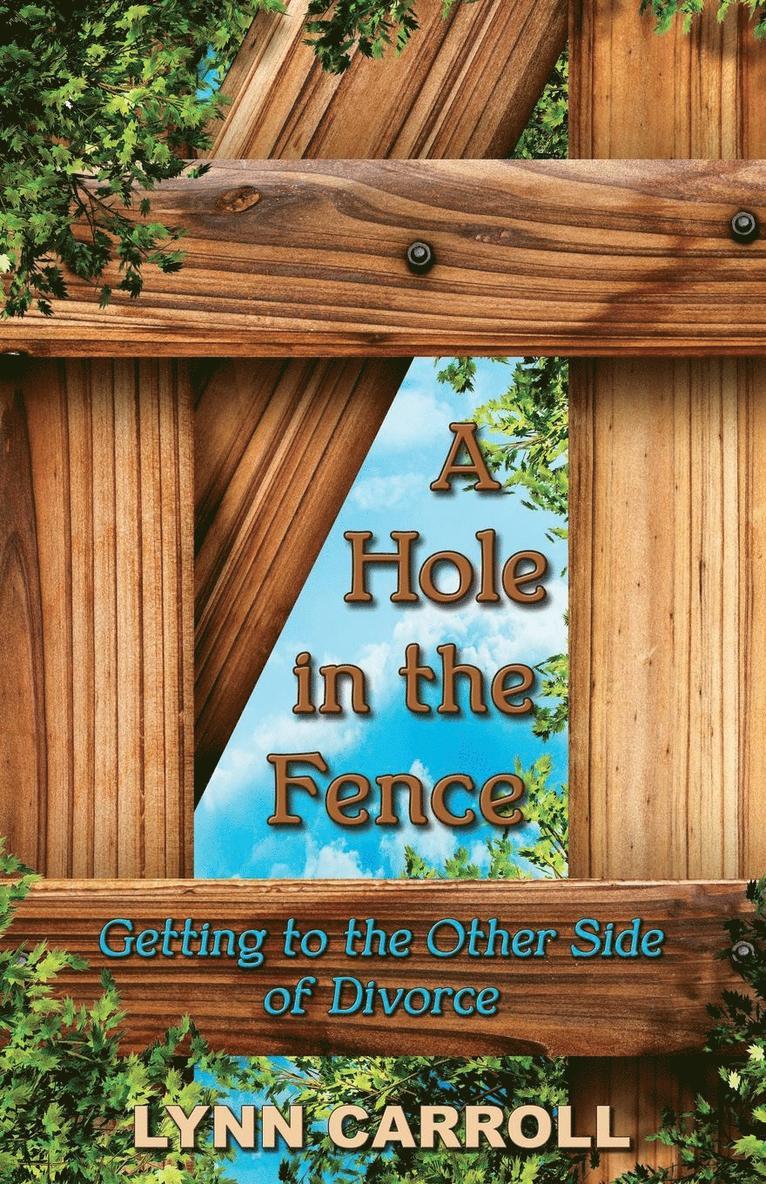 Hole in the Fence