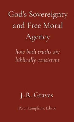 bokomslag God's Sovereignty and Free Moral Agency