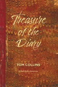 bokomslag Treasure of the Diary