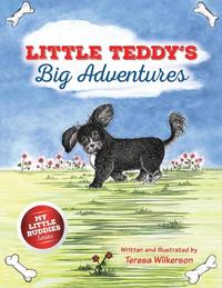 bokomslag Little Teddy's Big Adventures