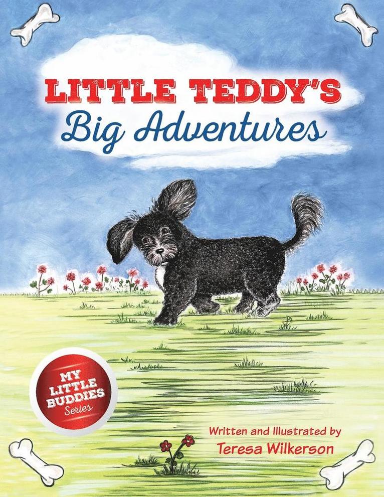 Little Teddy's Big Adventures 1