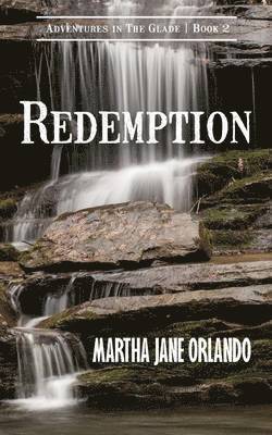 bokomslag Redemption Adventures in The Glade Book 2