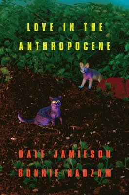 Love in the Anthropocene 1