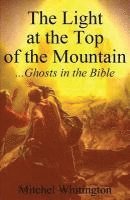 bokomslag The Light at the Top of the Mountain: Ghosts in the Bible