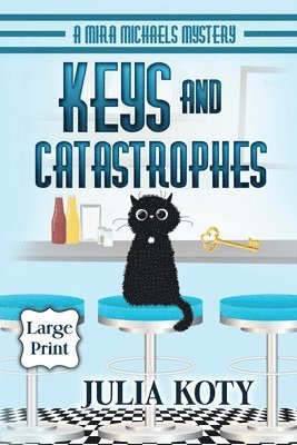 bokomslag Keys and Catastrophes