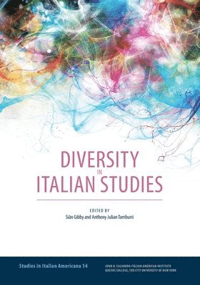 bokomslag Diversity in Italian Studies