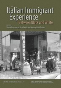 bokomslag The Italian Immigrant Experience: Between Black and White