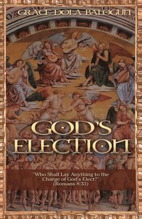 bokomslag God's Election